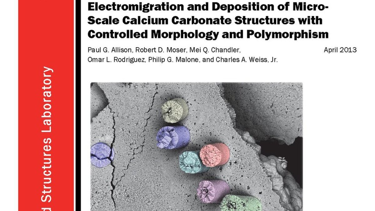 Micro-scale crystals of a single compound grown into different structures and polymorphs — the science of polymorphism and solid-form engineering; a Quintamorph monograph by Panacea Bio Chem and Bogdan Dicoias